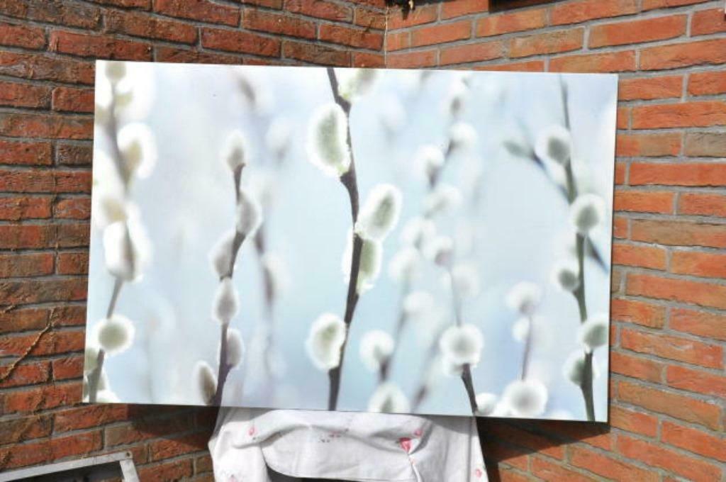 §grande photo sur toile plastifier branches et bourgeons, Ophalen