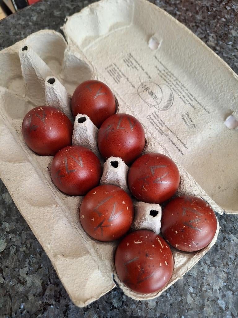 Broedeieten. Van marans zwart koperhals