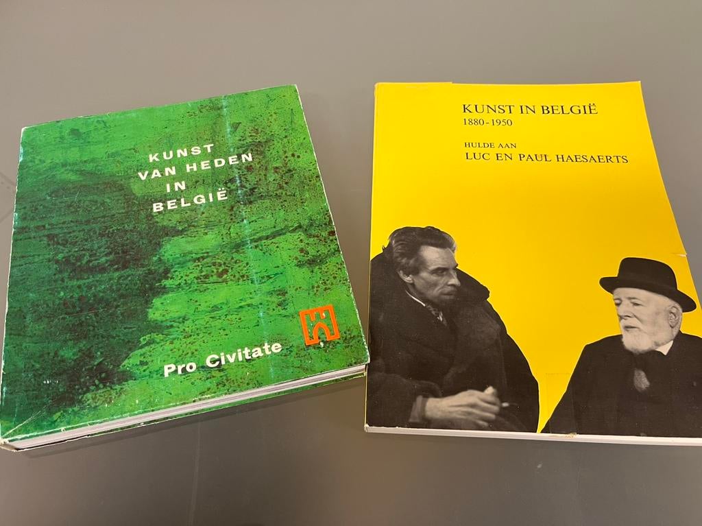 Kunst in Belgie luc paul Haesaerts + kunst van heden, Boeken, Ophalen of Verzenden, Gelezen