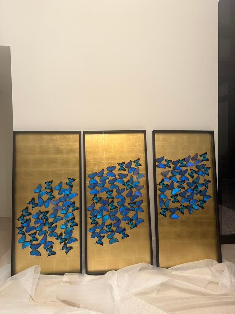 Kunst Kaders, Ophalen