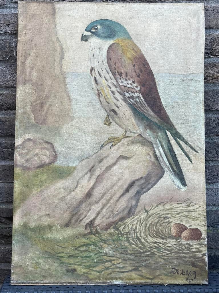 A. Declercq - Torenvalk - 1920 Schilderij, Antiek en Kunst, Ophalen of Verzenden