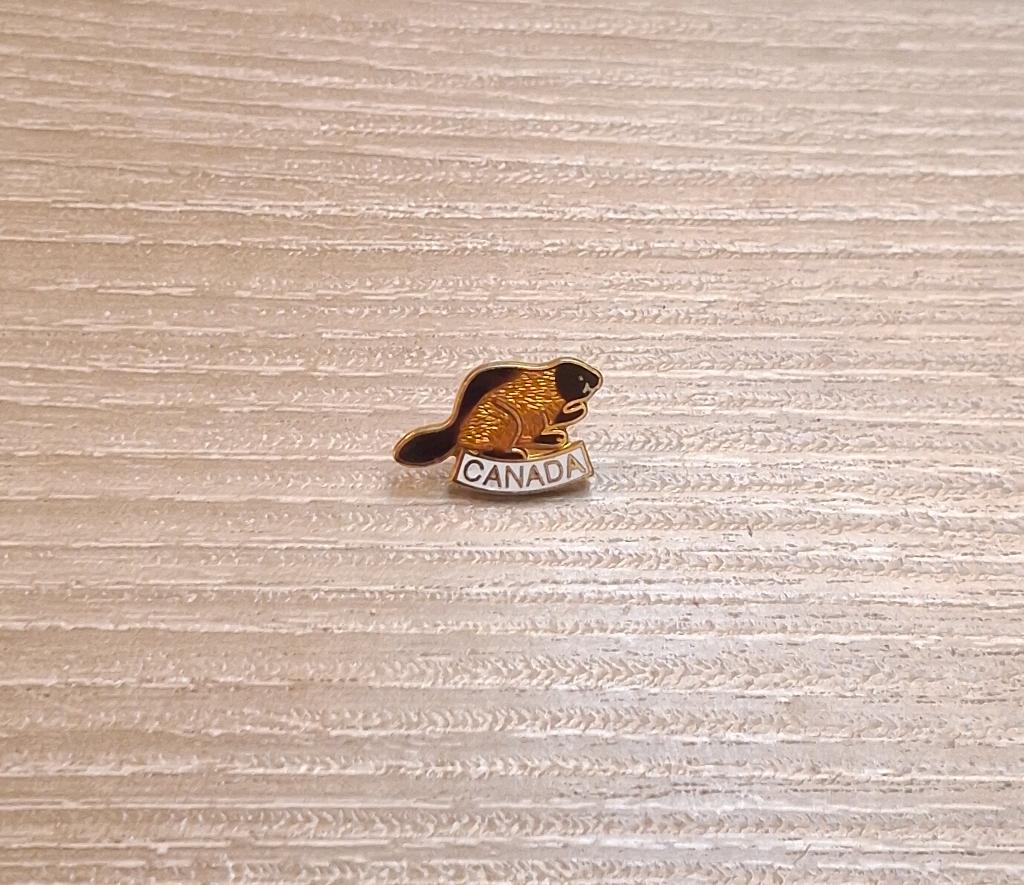 PIN - CANADA - MARMOT - BEVER - MARMOTTE - CASTOR, Envoi, Utilisé, Ville ou Campagne, Insigne ou Pin's