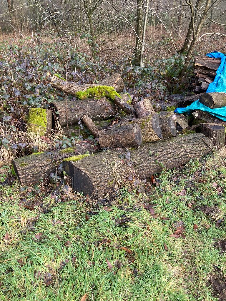brandhout, Tuin en Terras, Brandhout, Ophalen