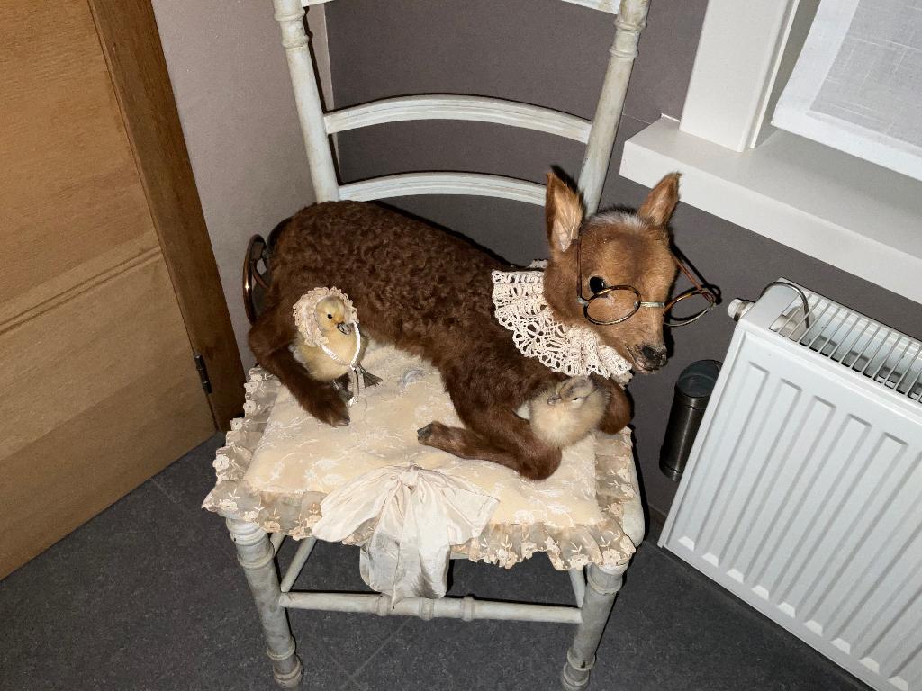 Taxidermi lammetje, Enlèvement ou Envoi, Neuf, Cerf, Animal empaillé