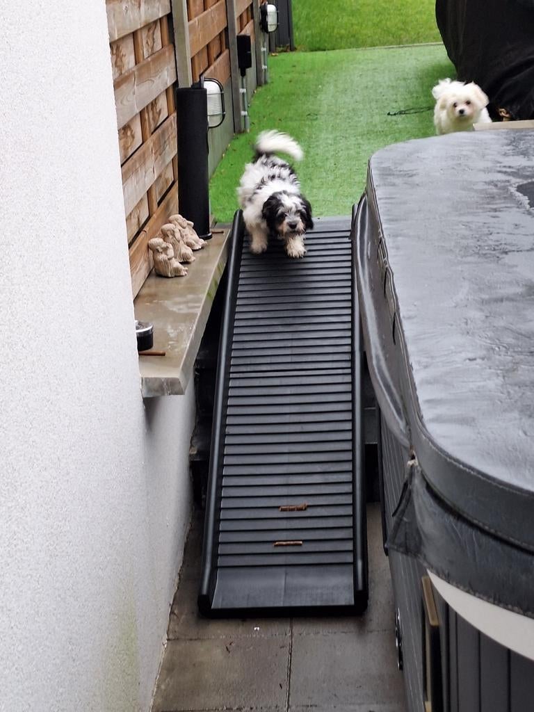 Inklapbare loop brug/ helling voor Huisdier,Babby, Peuters,, Dieren en Toebehoren, Honden-accessoires, Zo goed als nieuw, Ophalen