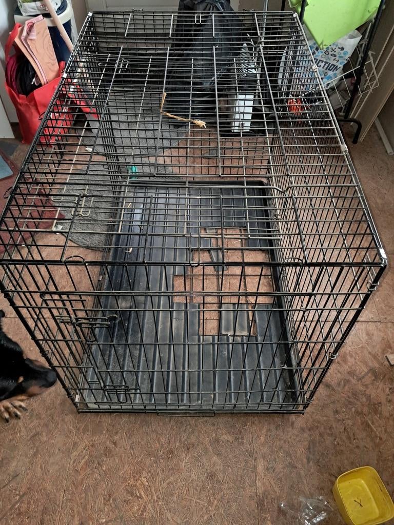 Cage pour chien 1228276, Animaux & Accessoires
