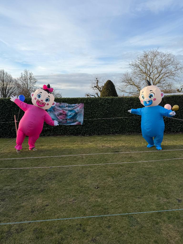 Gender reveal mascottes kostuum, Enlèvement, Neuf, Costume
