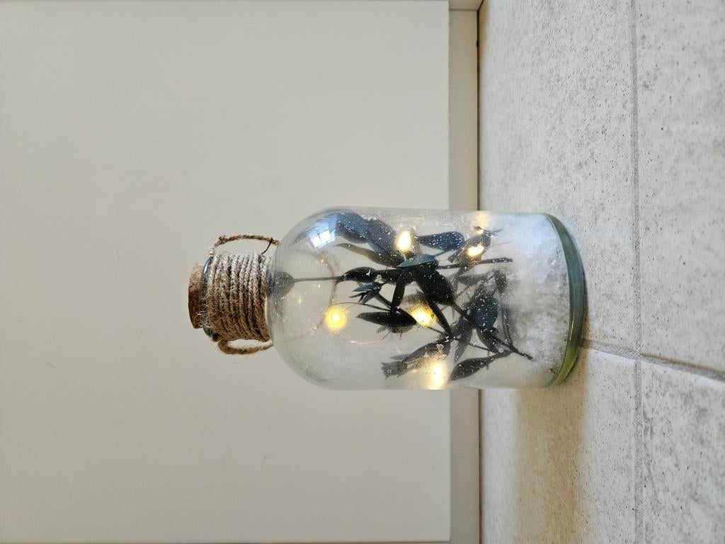 Decoratie lampje winter, Ophalen, Zo goed als nieuw