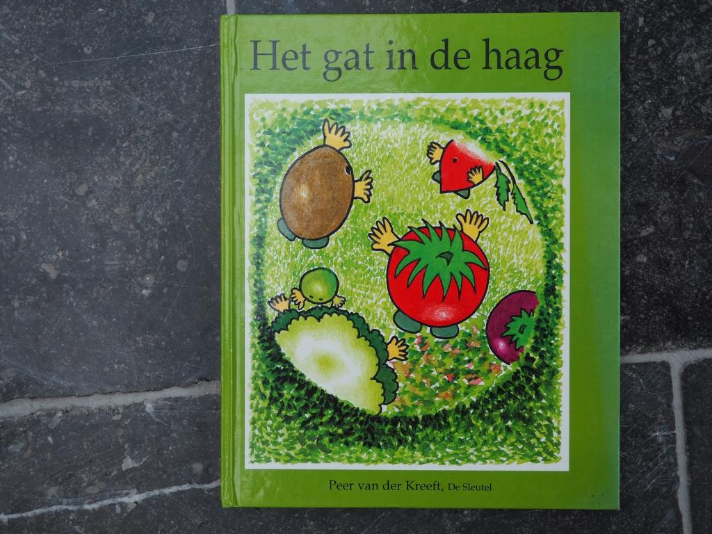 het gat in de haag, Boeken, Ophalen of Verzenden