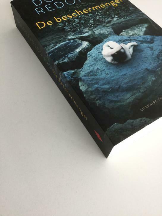 Boek De Beschermengel, Ophalen of Verzenden, Nieuw