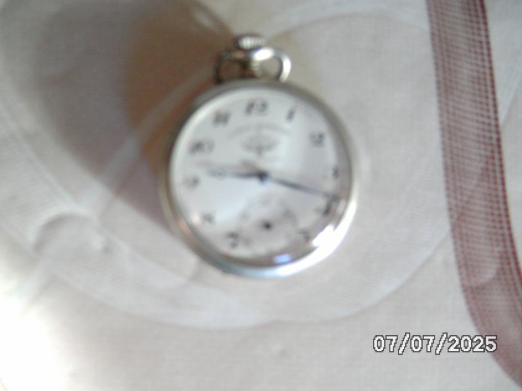 Een zakhorloge "merk "DE VLET", Handtassen en Accessoires, Horloges | Antiek, Zakhorloge, Overige merken, Staal, 1900 tot 1930