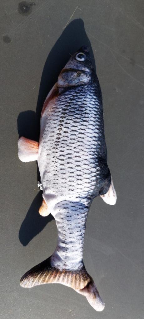 Beweegbare vis, Dieren en Toebehoren, Kattenspeelgoed, Ophalen of Verzenden, Zo goed als nieuw, Intelligentiespeelgoed