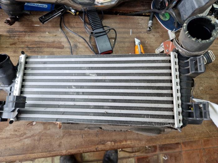 Intercooler d'un Ford Focus, Enlèvement ou Envoi, 3 mois de garantie, Utilisé, Ford