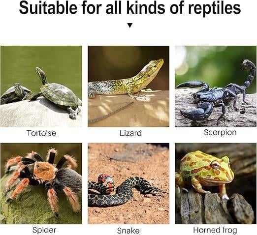 schildpad platform | Aquarium decoratie | GRATIS LEVERING, Dieren en Toebehoren, -, Verzenden, -, Overige typen