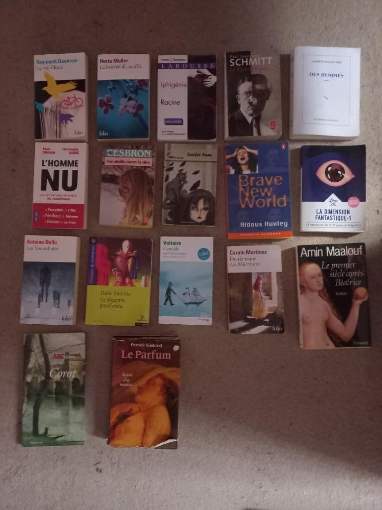 Livres divers petit et grand format, Livres, Enlèvement, Utilisé