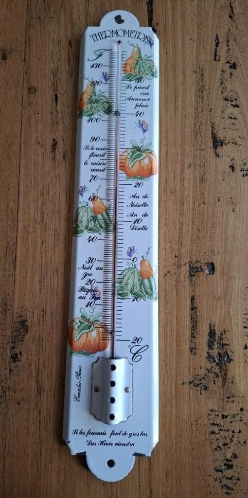 Grote Franse emaille thermometer, pompoenen, vlindertjes, Ophalen of Verzenden