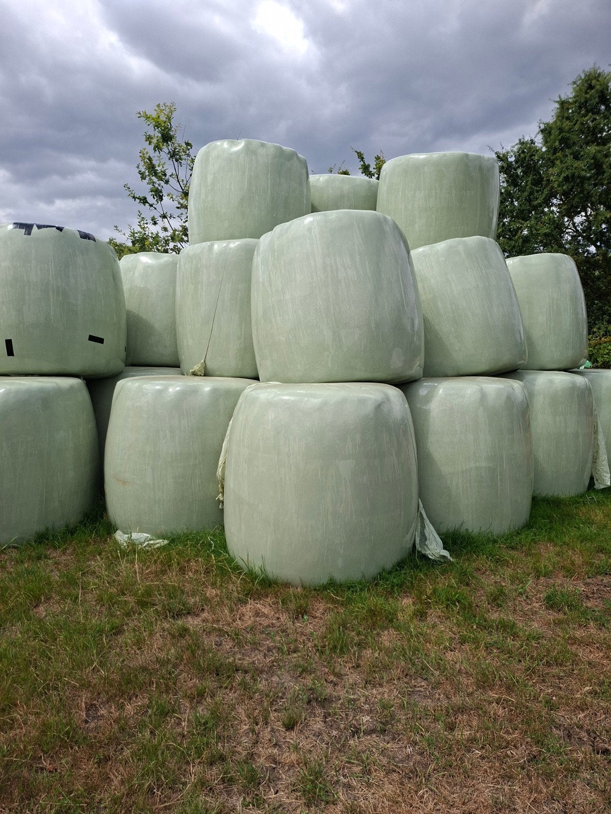 Grote bollen hooi, Enlèvement