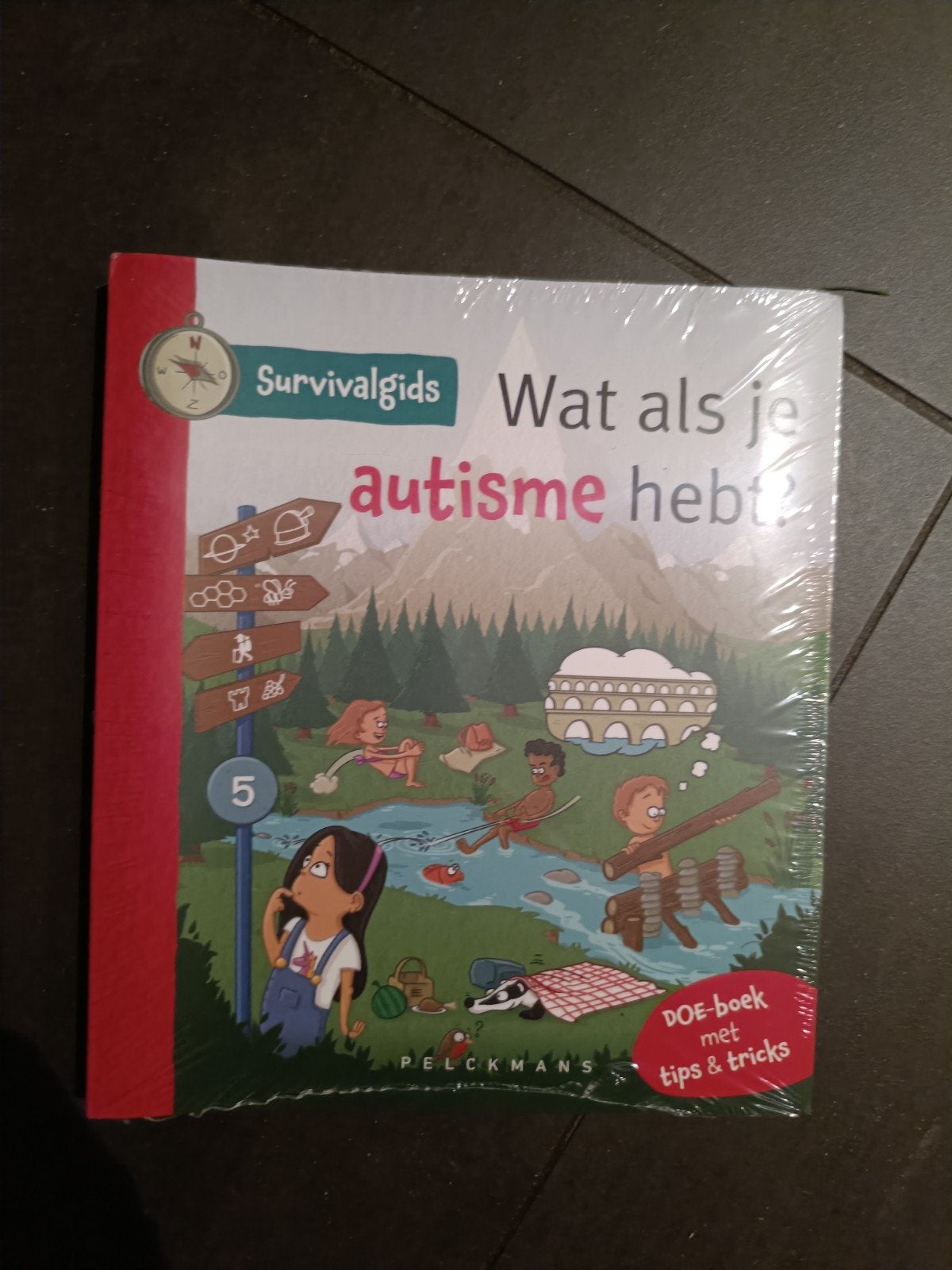 Annelies Nys - Survivalgids - Wat als je autisme hebt?, Enlèvement ou Envoi, Neuf, Néerlandais, Annelies Nys