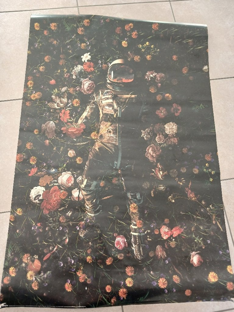 Posters À Vendre Ou Échanger, Maison & Meubles, Suspension murale, Enlèvement ou Envoi, Comme neuf, 60 cm
