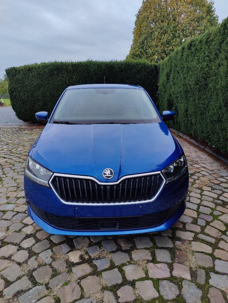 Skoda Fabia 1.0 TSI Ambition, Voorwielaandrijving, Stof, Bedrijf, 5 deurs