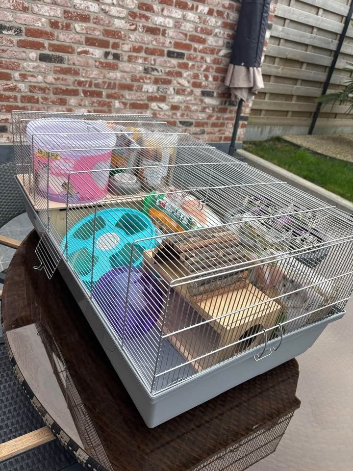 Hamsterkooi 50 x 100 cm, Dieren en Toebehoren, Ophalen, Kooi, Cavia, Zo goed als nieuw