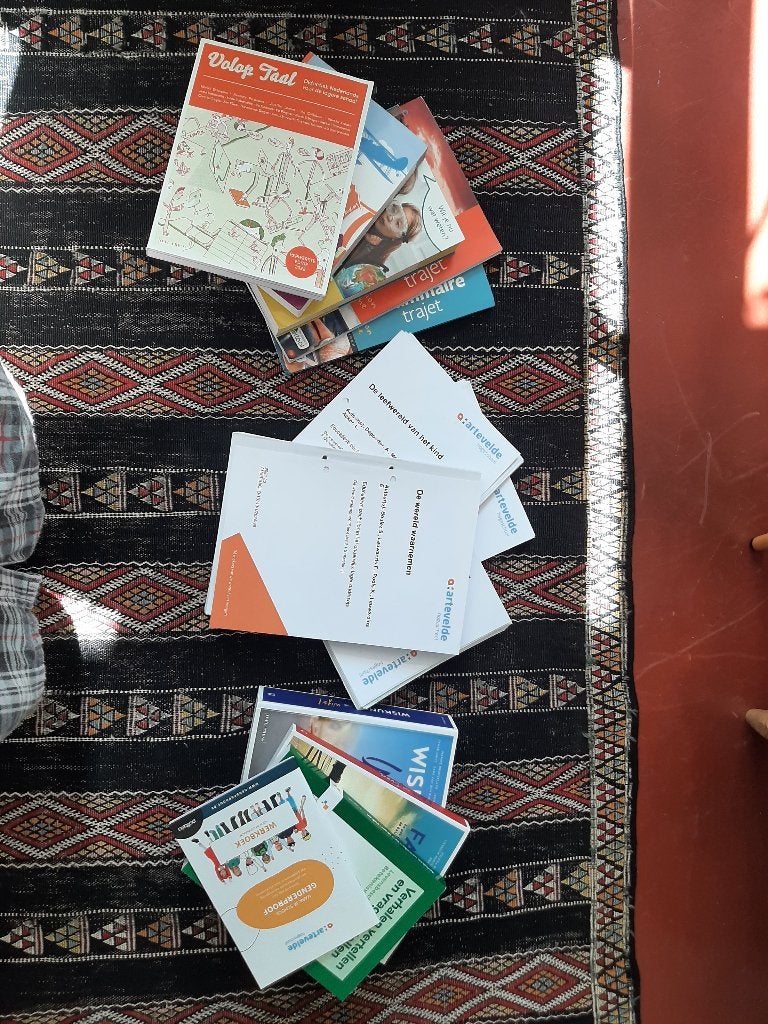 Cursussen bachelor lager onderwijs, Enlèvement ou Envoi, Utilisé, Enseignement supérieur
