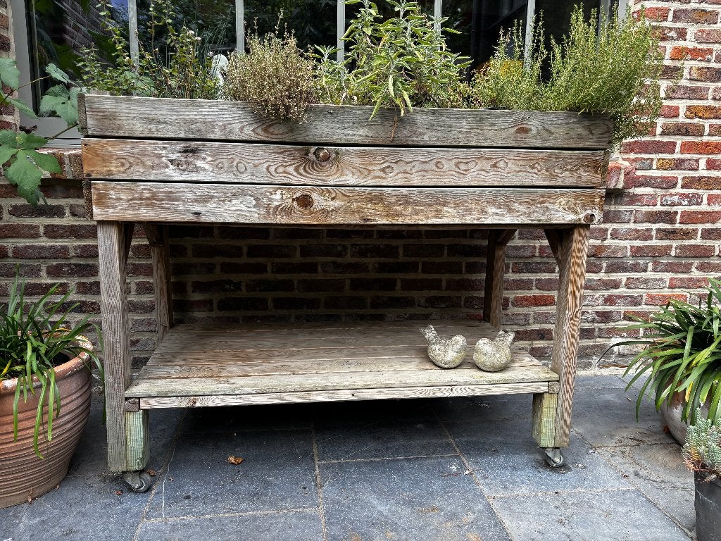 boîte de potager,  à herbes sur roulettes + herbes gratuites, Enlèvement, Utilisé, 100 cm ou plus, Rectangulaire