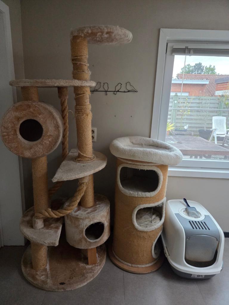 Grote krappaal met krapton en kattenbak, Dieren en Toebehoren, Ophalen