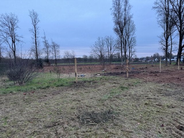 Te koop perceel bos gelegen Stekene/Klein-Sinaai, Immo, Klein-Sinaai, 1500 m² of meer
