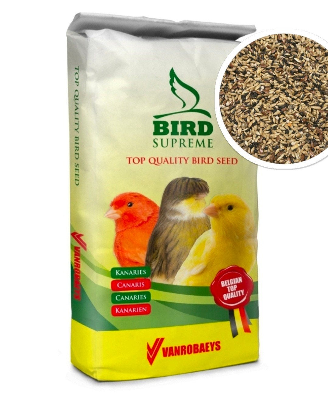 Excellente stature canarienne René Alssema 20 kg Bird Suprem, Enlèvement