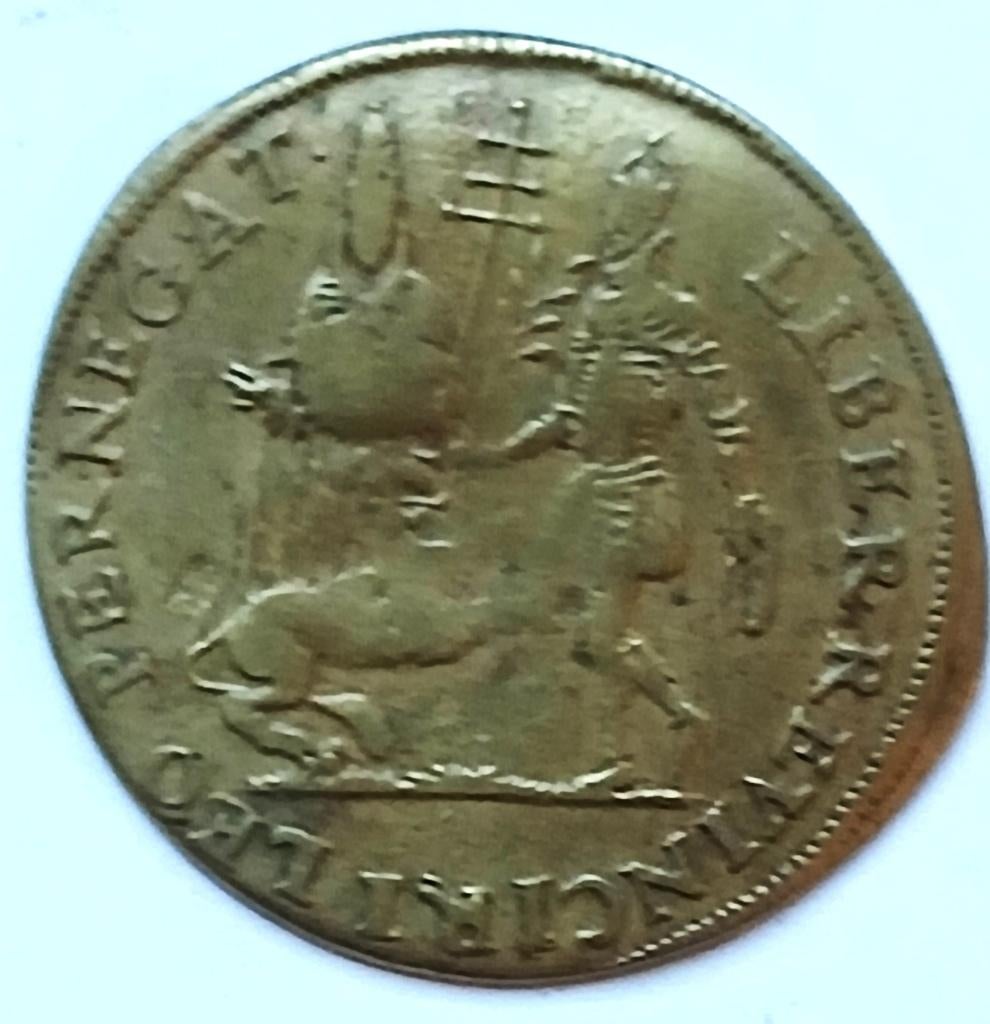 rekenpenning LIBER REVINVIRI LEO PERNEGAT 1580 ROSIS LEONEM, Ophalen of Verzenden, Overige materialen