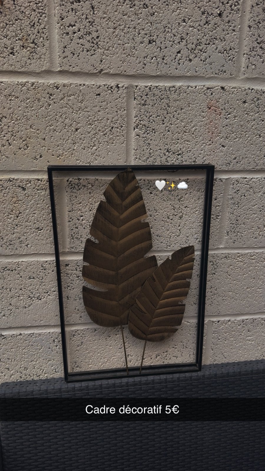 Cadre decoratif, Enlèvement, Utilisé