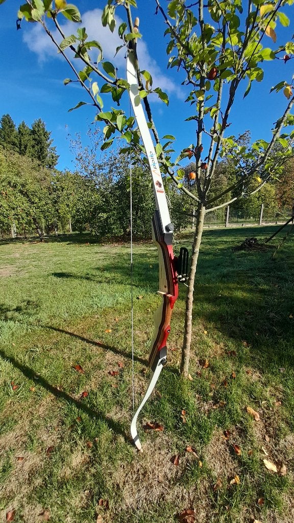 Arc à flèche état neuf bradé., Enlèvement ou Envoi, Neuf, Arc recurve