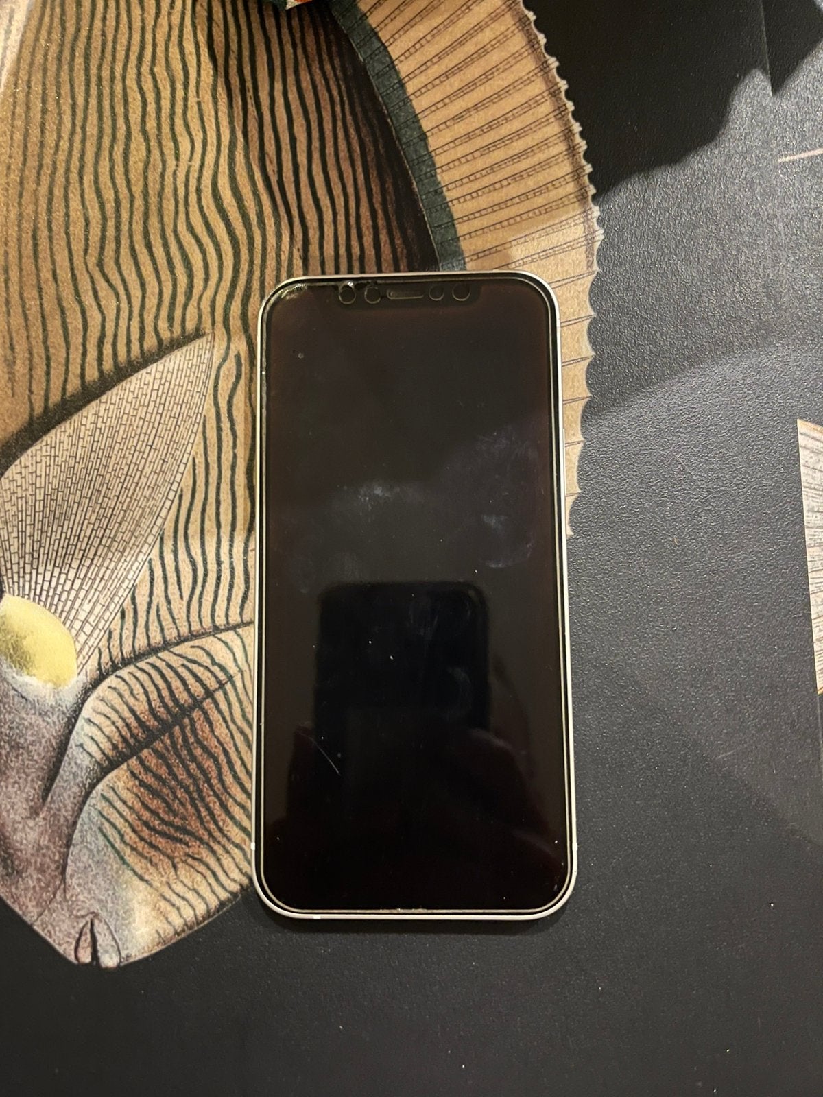 phone 12 - 64GB, Wit, 77 %, Ophalen of Verzenden, Zo goed als nieuw