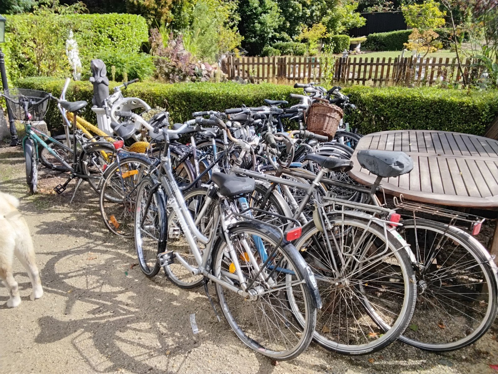 fietsen, Ophalen of Verzenden