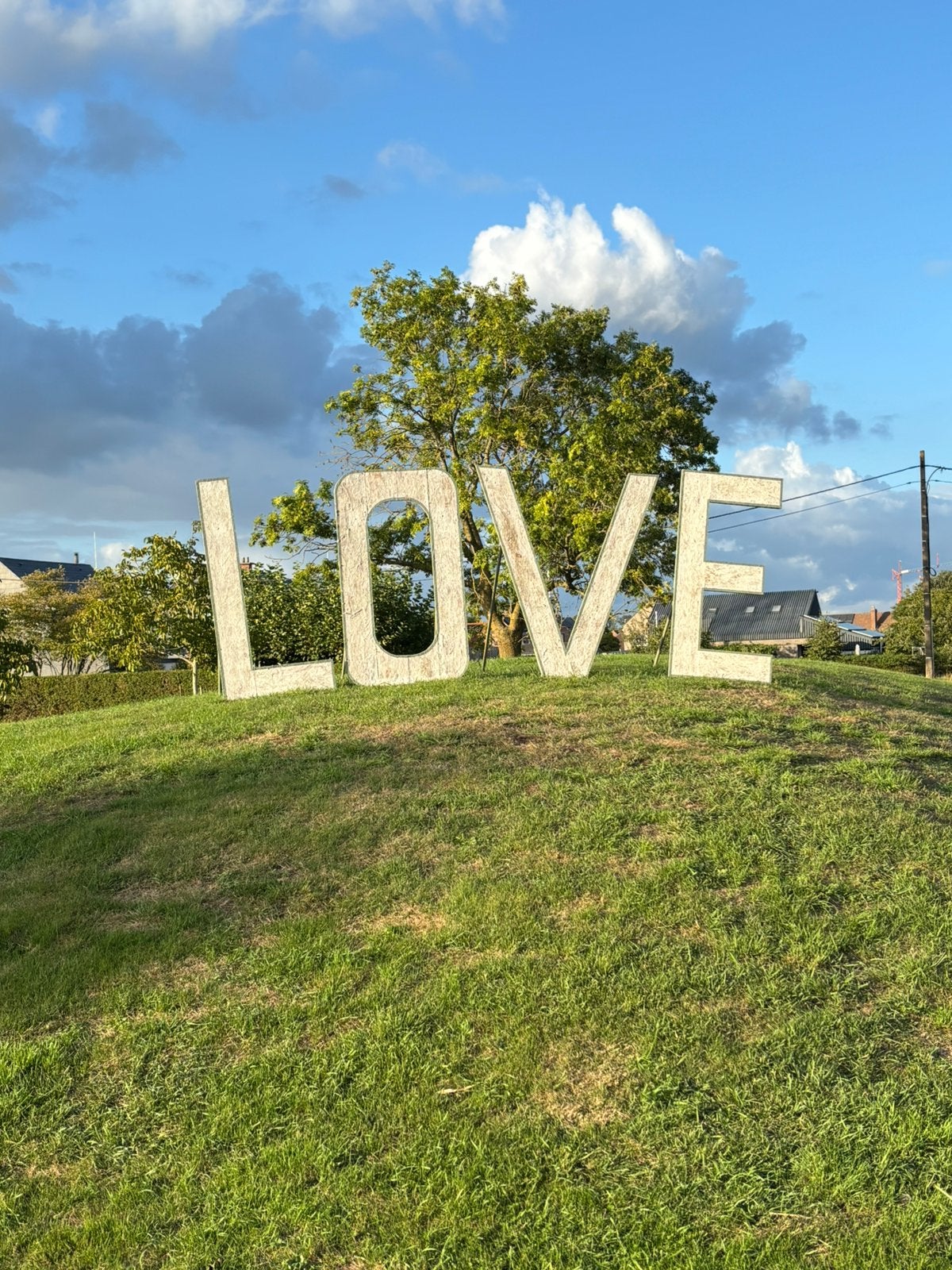 Trouwdecoatie LOVE letters, Ophalen, Zo goed als nieuw