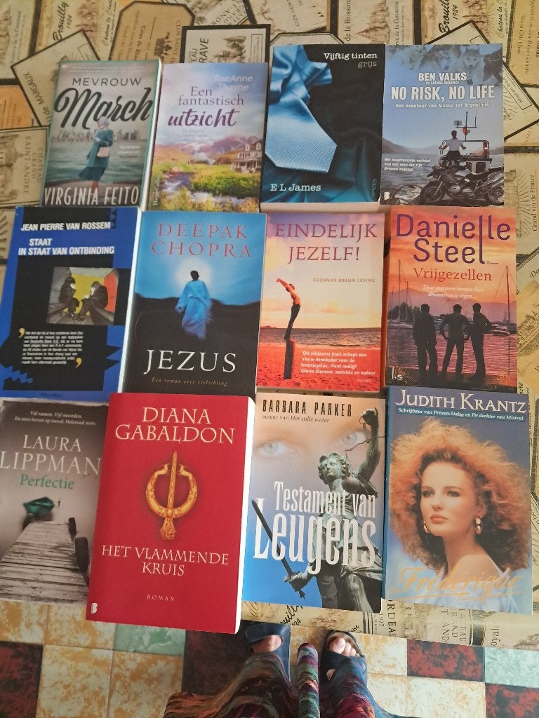 26 boeken - allerlei romans deel 4, Boeken, Ophalen, Gelezen