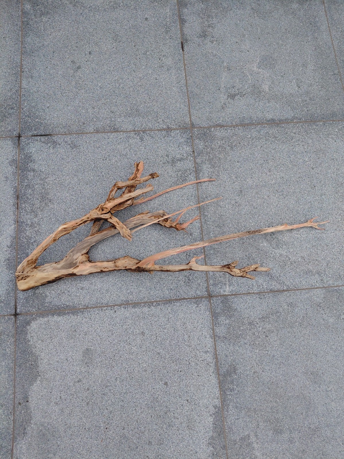 aquarium hout en stenen, Ophalen