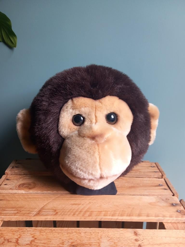 Wild & Soft aap hoofd, Ophalen, Nieuw