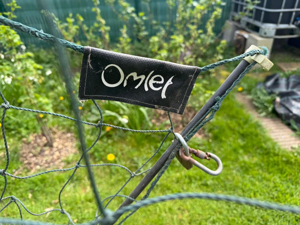 Omlet 12m afrastering, Animaux & Accessoires, Enlèvement, Comme neuf