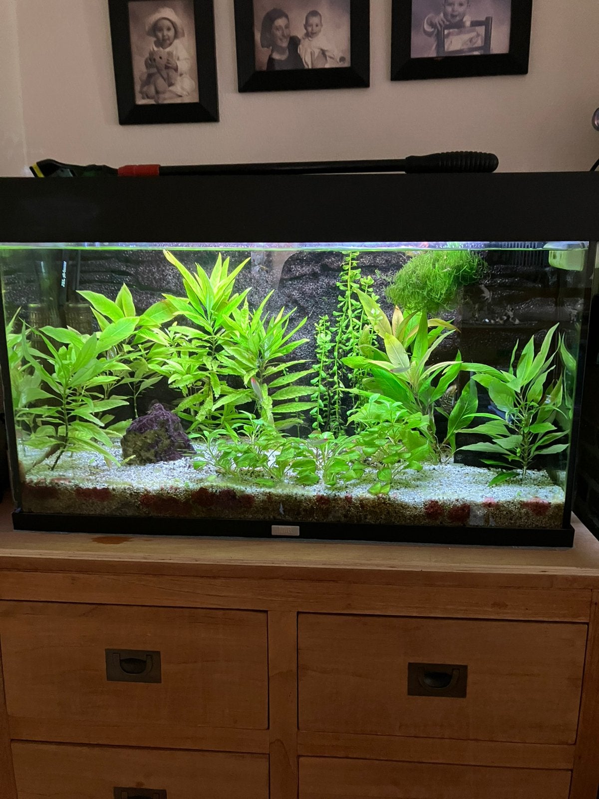 Te koop Aqwarium 150liter., Dieren en Toebehoren, Ophalen, Inclusief toebehoren, Gebruikt, Leeg aquarium