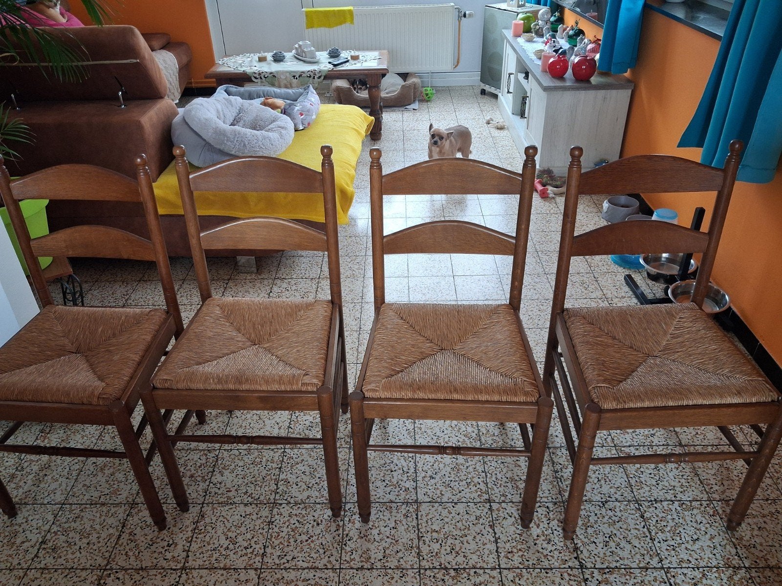 avendre  4 chaises  en paille, Maison & Meubles, Chaises, Ancien, Brun, Enlèvement, Utilisé
