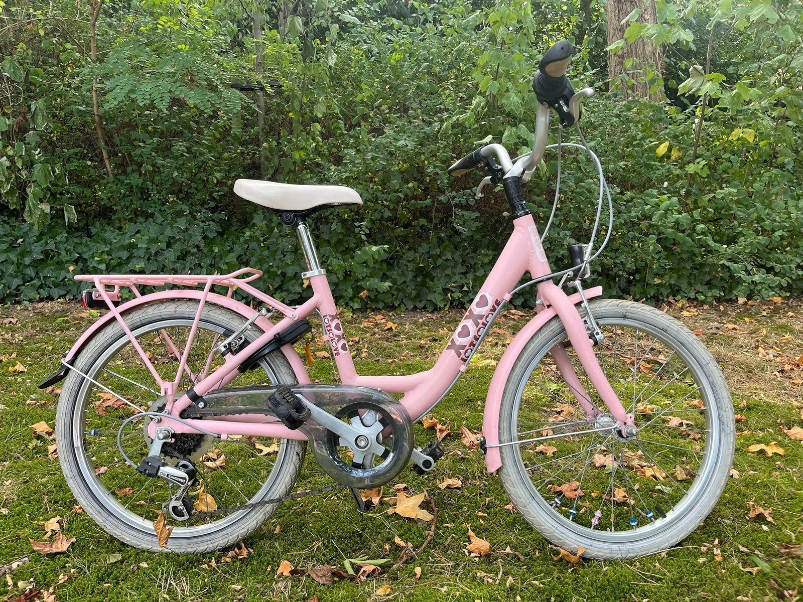 Kinderfiets BFK Roos, Ophalen, 22 inch, Gebruikt, Velgrem
