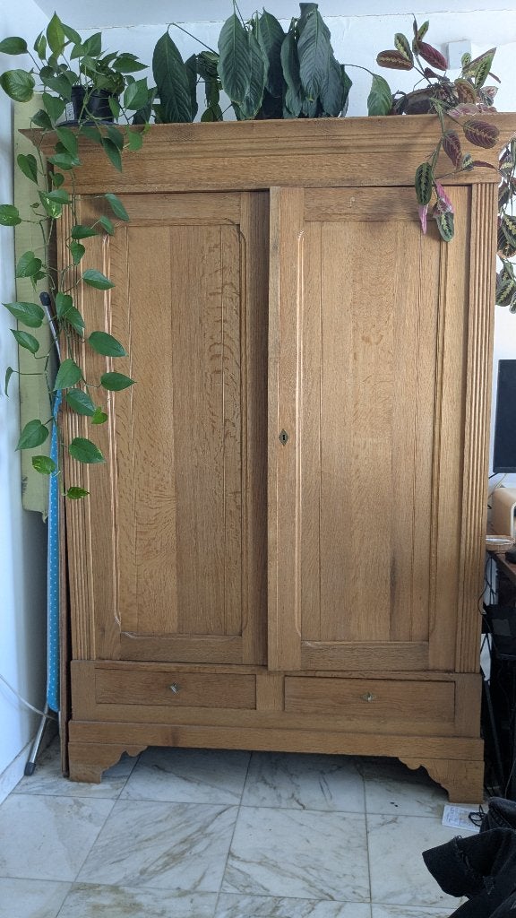 Armoire en bois massif, 25 à 50 cm, 100 à 150 cm, Utilisé, Chêne