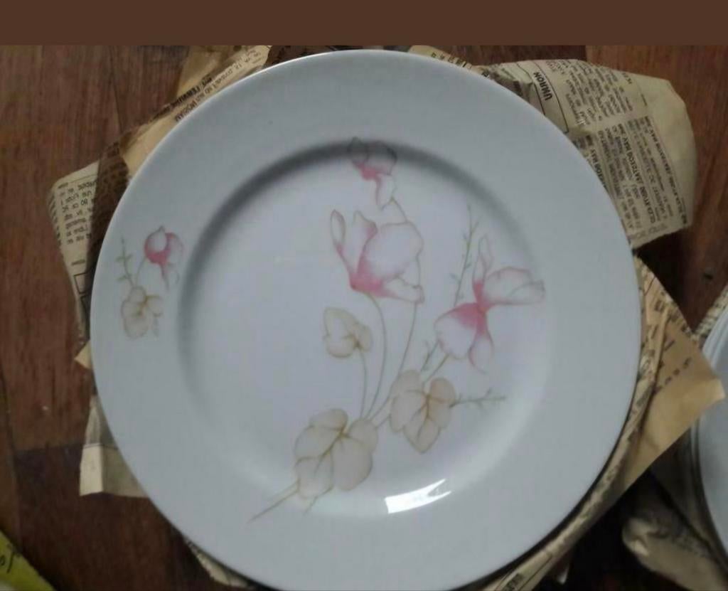 6 JL MENAU-platen, Ophalen of Verzenden, Zo goed als nieuw, Porselein, Bord(en)
