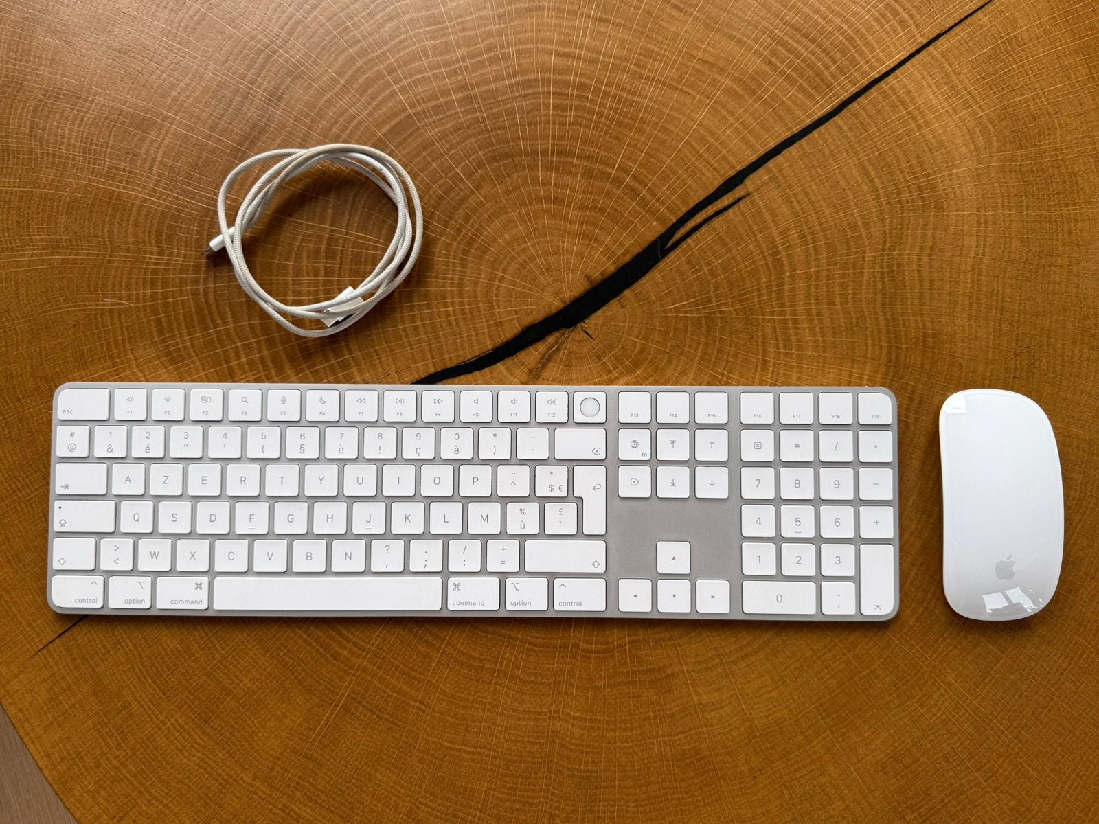 Magic Keyboard AZERTY Touch ID + Magic Mouse, Informatique & Logiciels, Claviers, Comme neuf, Azerty, Sans fil, Ensemble clavier et souris