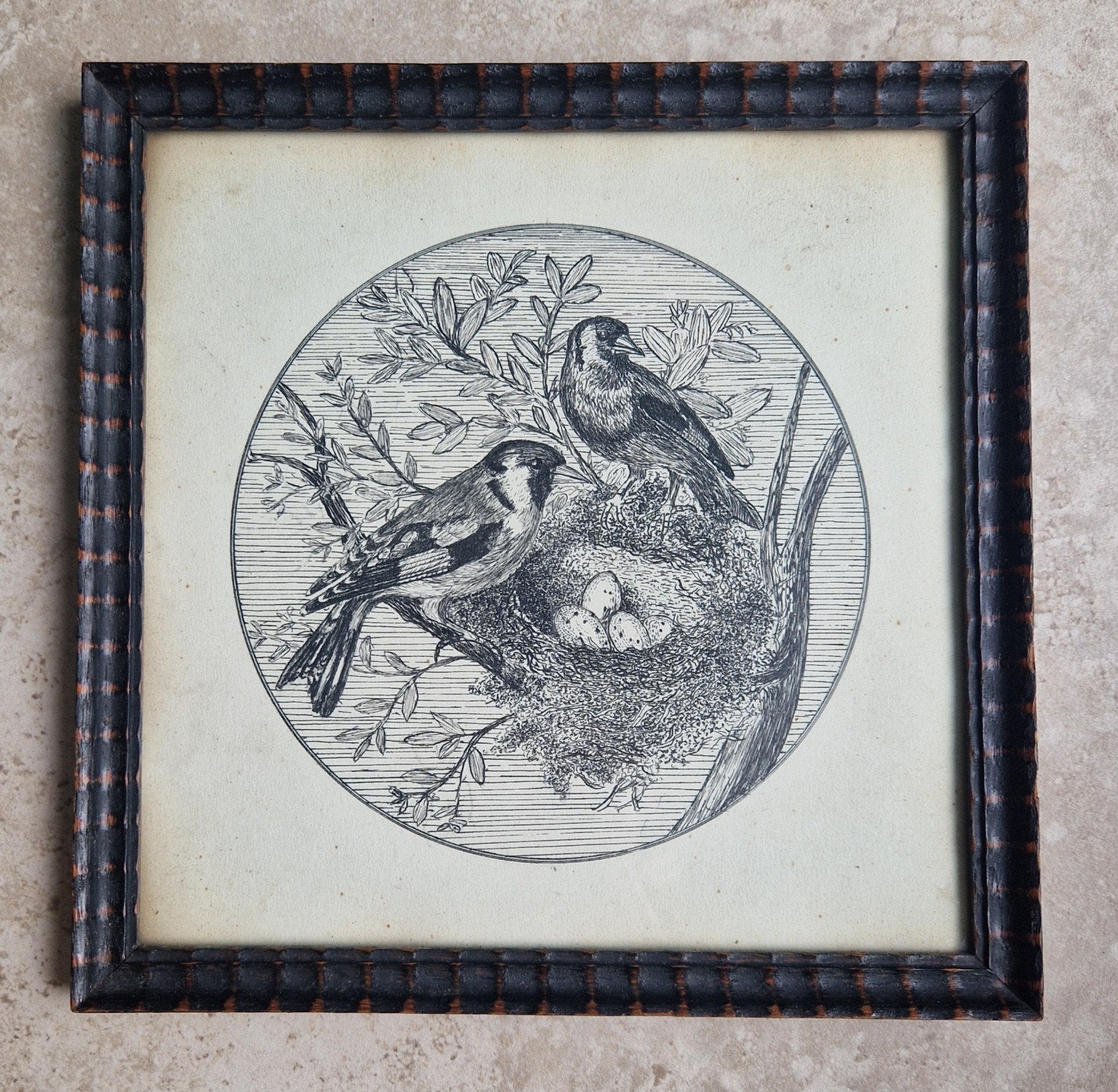 vieux stylo dessinant des oiseaux, Enlèvement