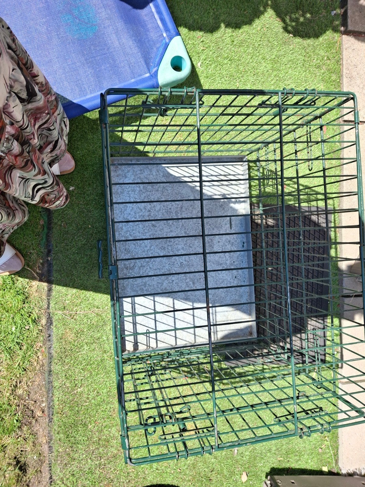 Bench hond te koop 15 euro., Enlèvement