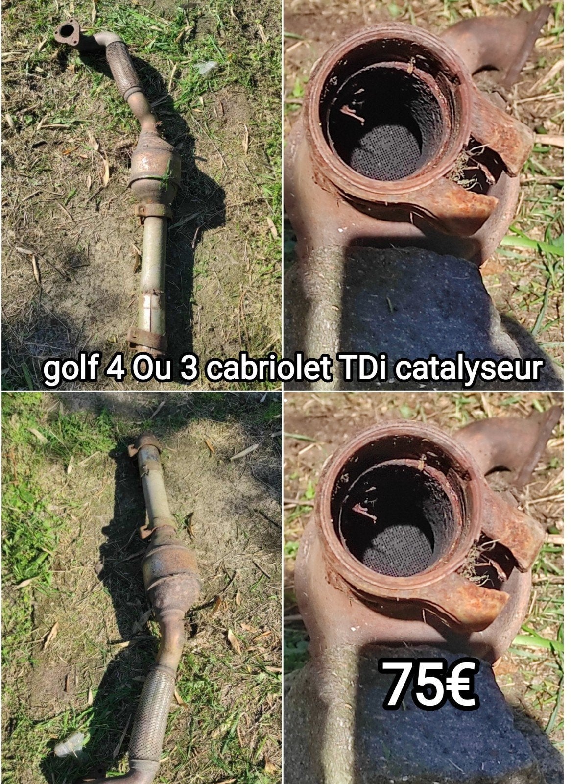 golf 4 cabriolet ou golf3 catalyseur TDi 90cv, Autos : Pièces & Accessoires, Enlèvement, Utilisé, Volkswagen
