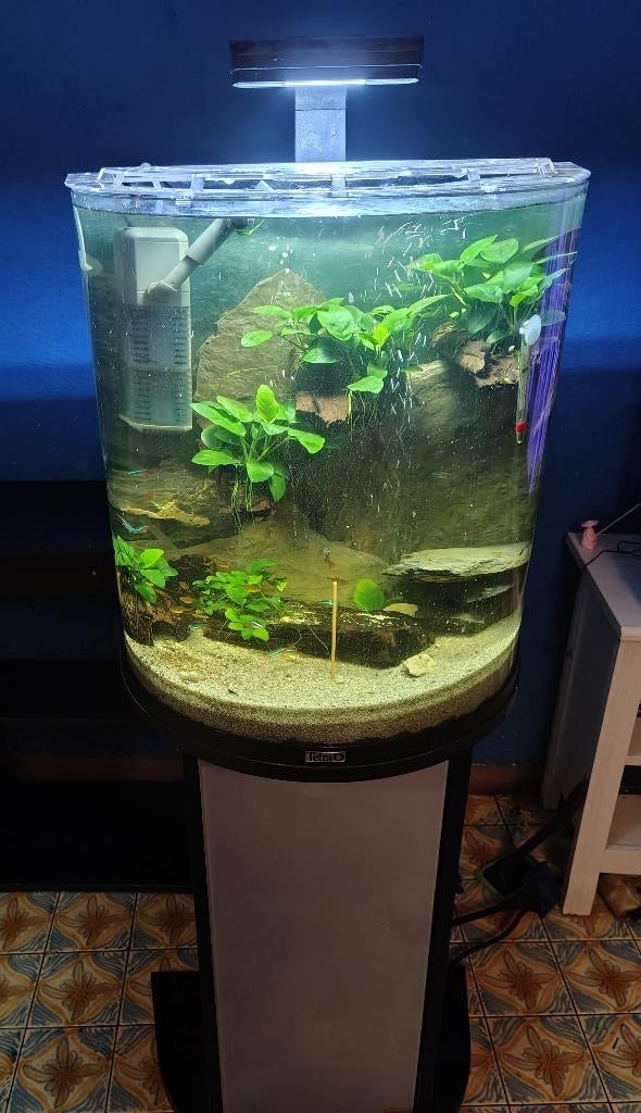 Aquarium, Ophalen, Zo goed als nieuw, Tetra, Inclusief deksel